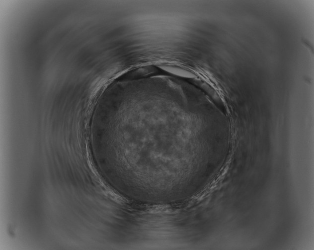 X0000091550097200709071226