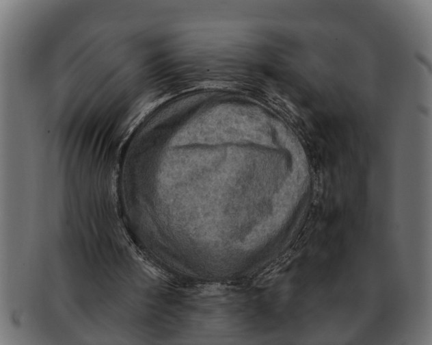 X0000091550098200709071226