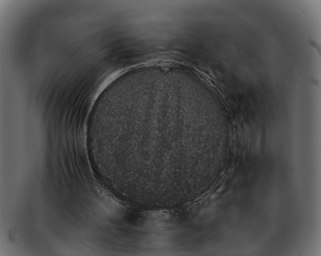 X0000091550100200709071226