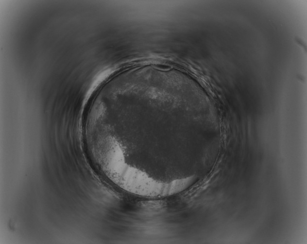 X0000091550102200709071226