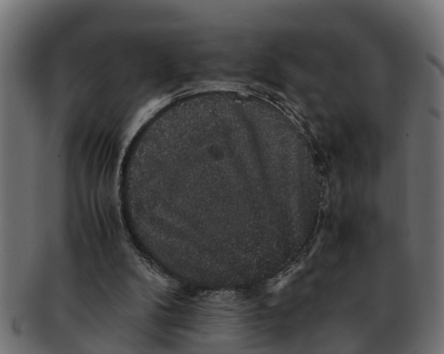 X0000091550104200709071226