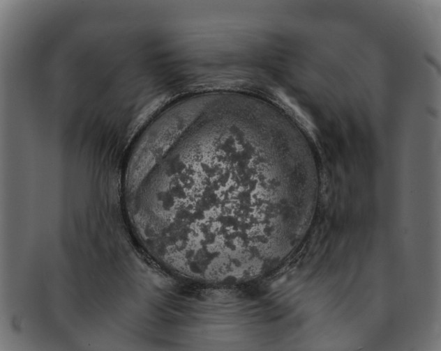 X0000091550107200709071226