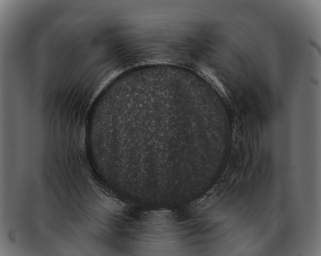 X0000091550108200709071226