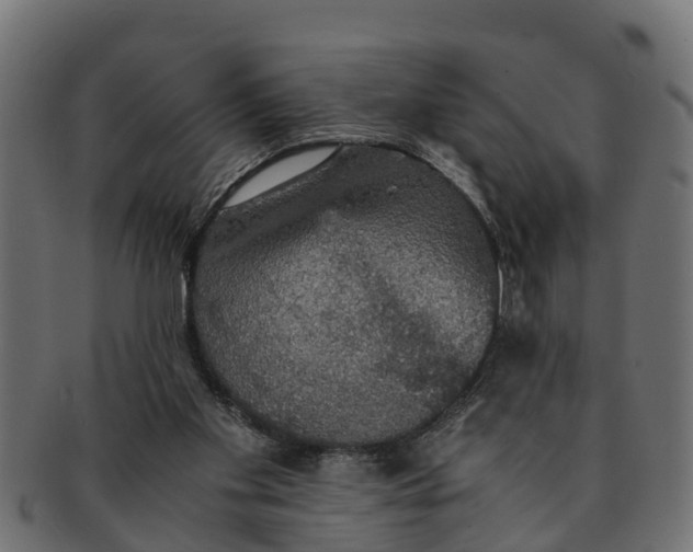 X0000091550109200709071226