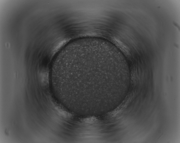 X0000091550112200709071226