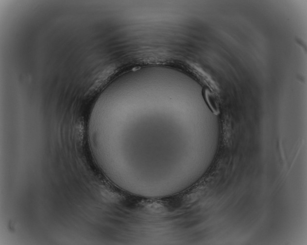 X0000091550113200709071225