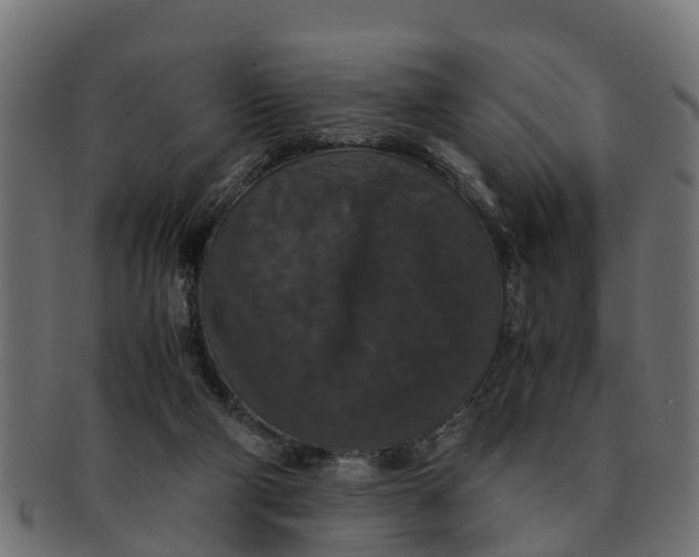 X0000091550114200709071225