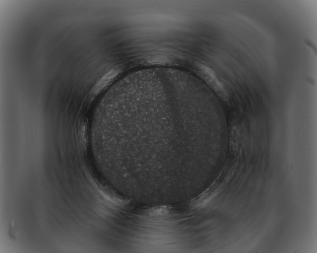 X0000091550116200709071225