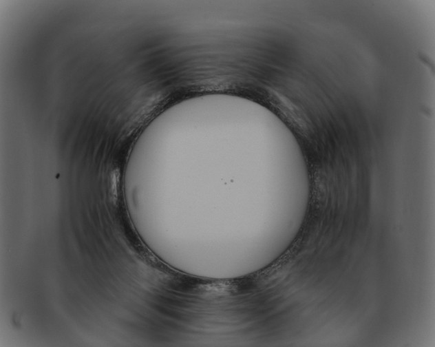 X0000091550118200709071225