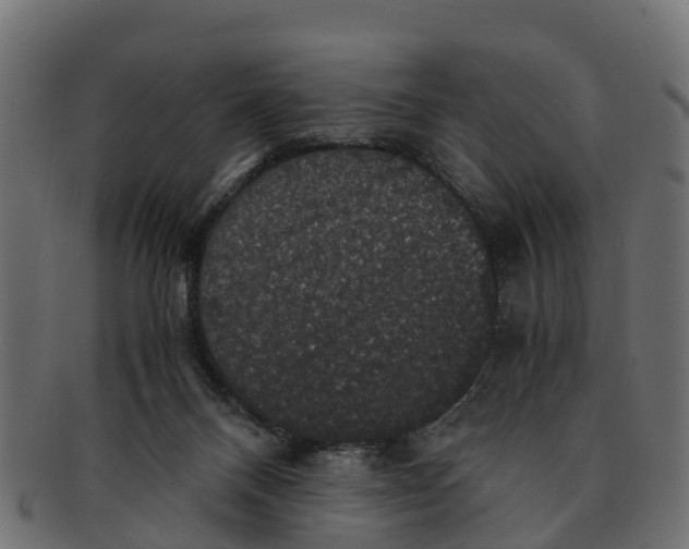 X0000091550120200709071225