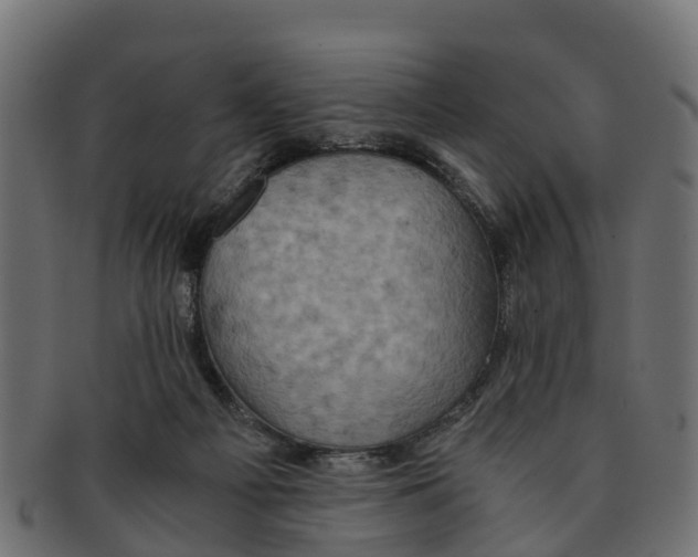 X0000091550121200709071225