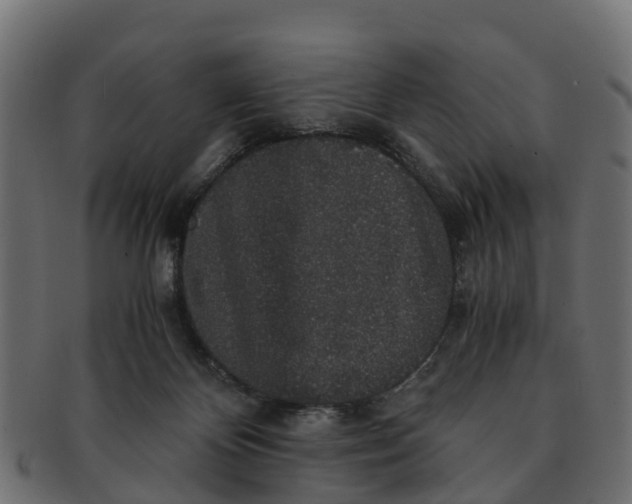 X0000091550124200709071225