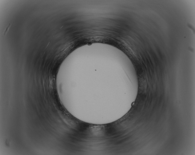 X0000091550126200709071225