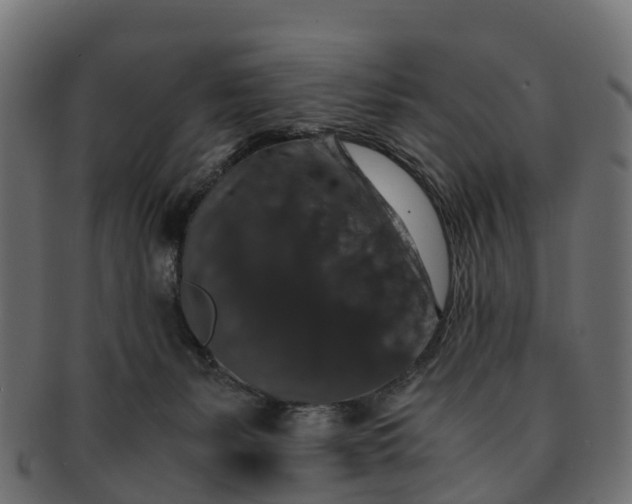 X0000091550127200709071225