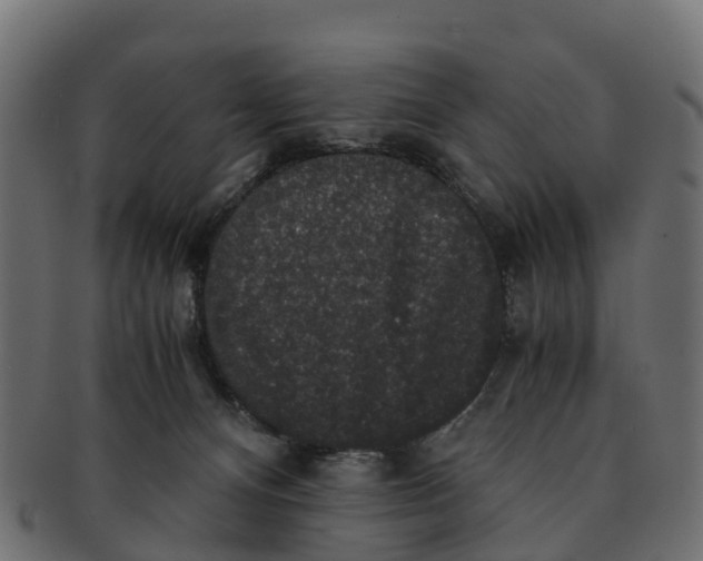 X0000091550128200709071225