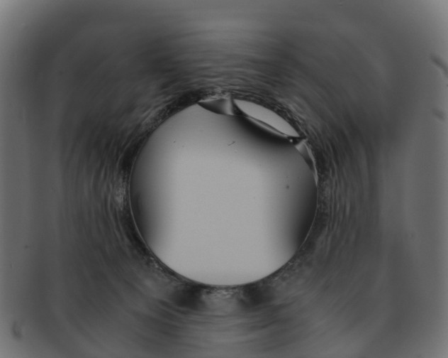 X0000091550129200709071225