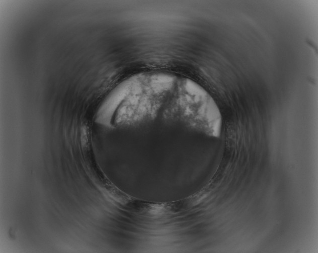 X0000091550130200709071225