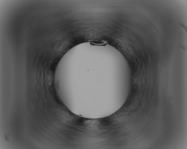 X0000091550133200709071225