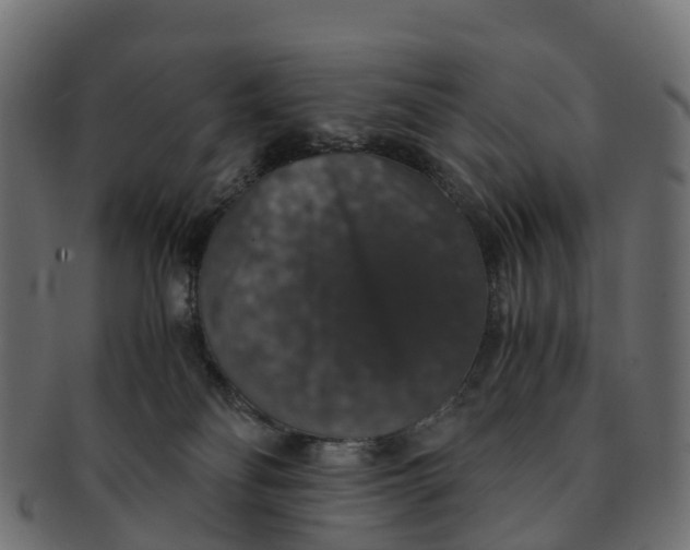 X0000091550134200709071225