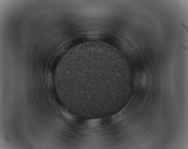 X0000091550136200709071225