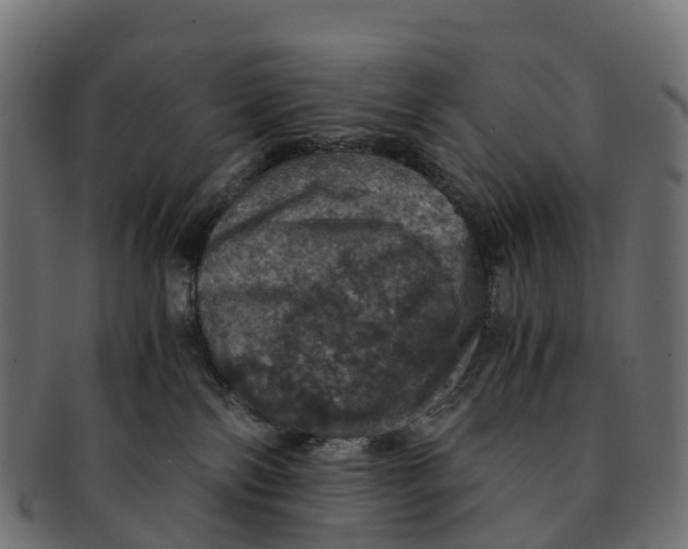 X0000091550138200709071225