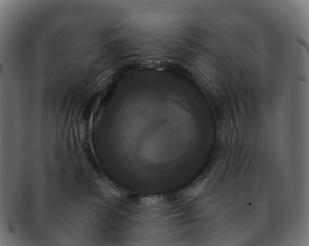 X0000091550139200709071225