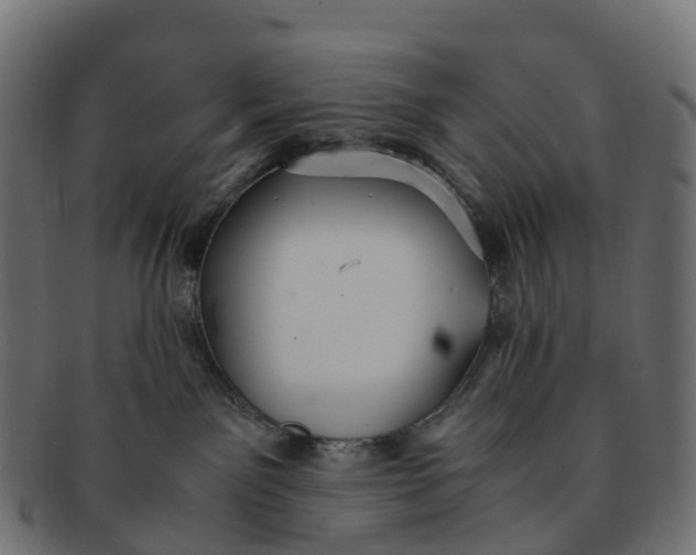 X0000091550141200709071225