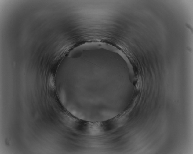 X0000091550143200709071225