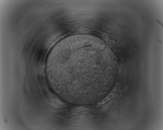 X0000091550146200709071224