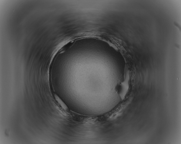 X0000091550148200709071224