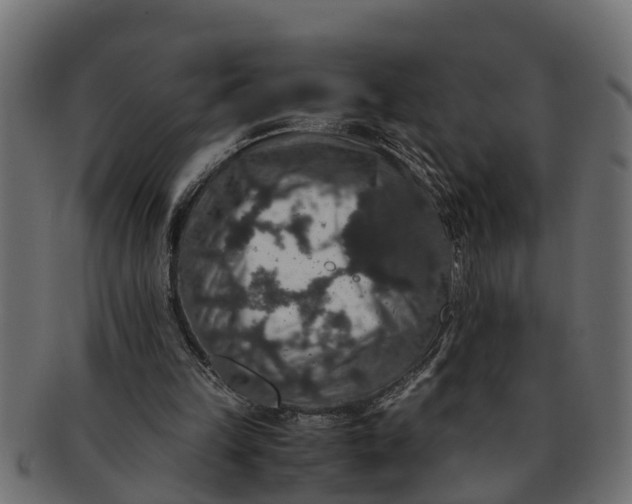 X0000091550149200709071224