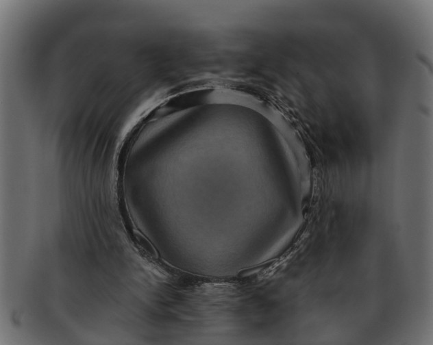 X0000091550150200709071224