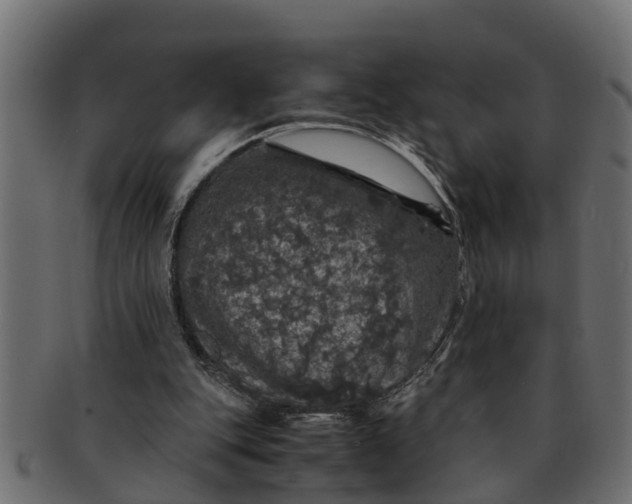 X0000091550151200709071224