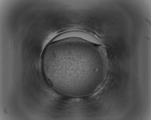X0000091550152200709071224