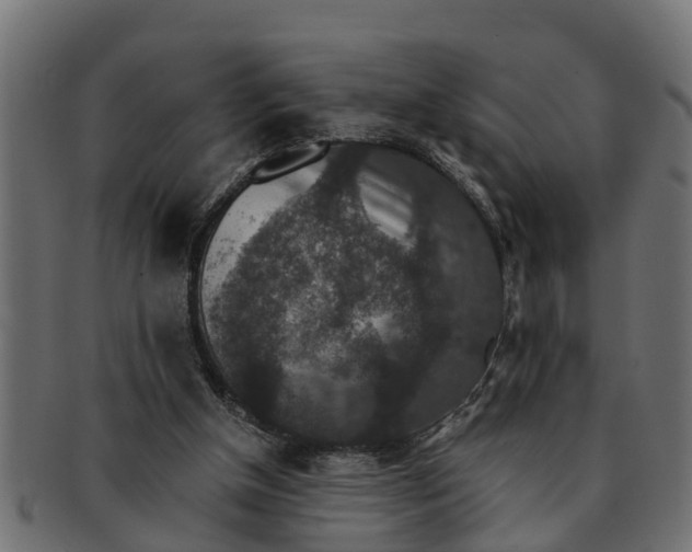 X0000091550154200709071224