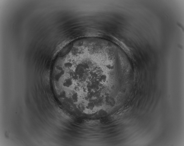 X0000091550155200709071224
