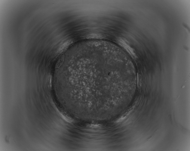 X0000091550157200709071224