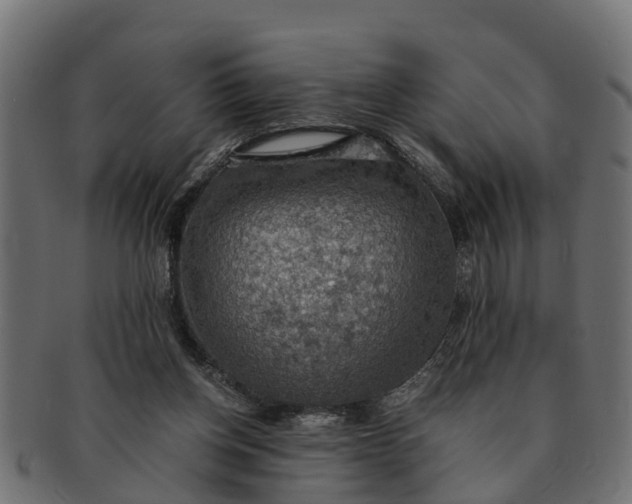 X0000091550158200709071224