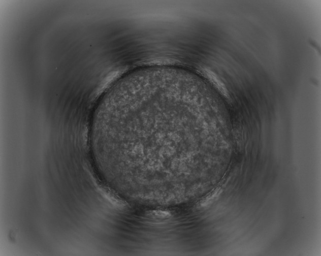 X0000091550159200709071224