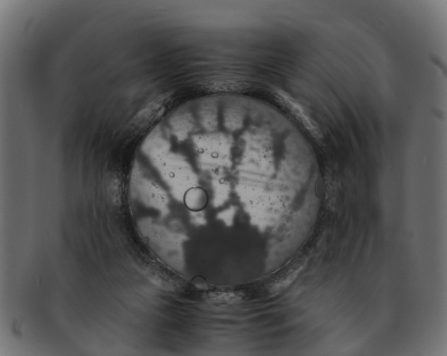 X0000091550161200709071224