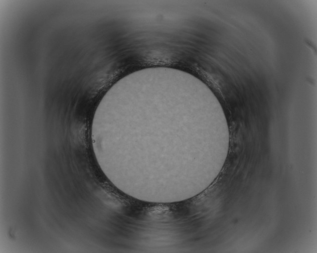 X0000091550162200709071224