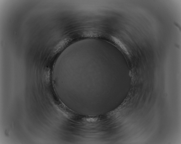 X0000091550163200709071224