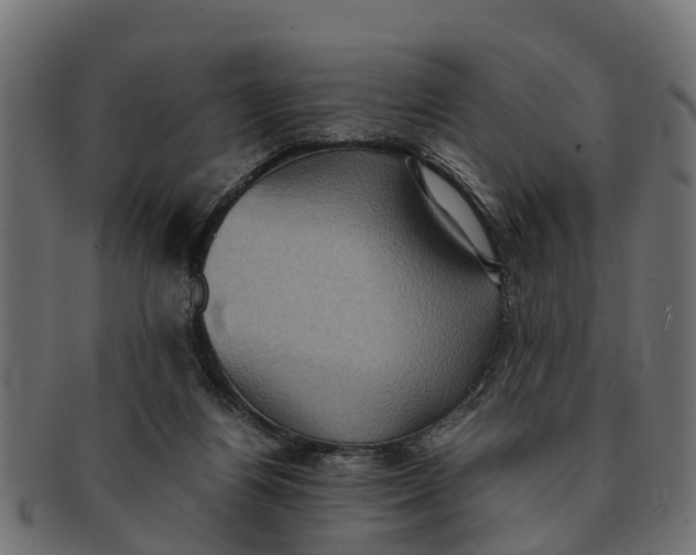 X0000091550164200709071225