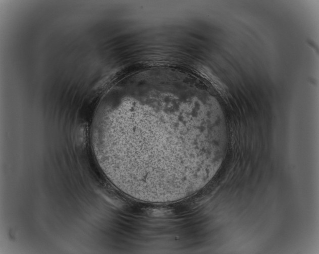 X0000091550165200709071225