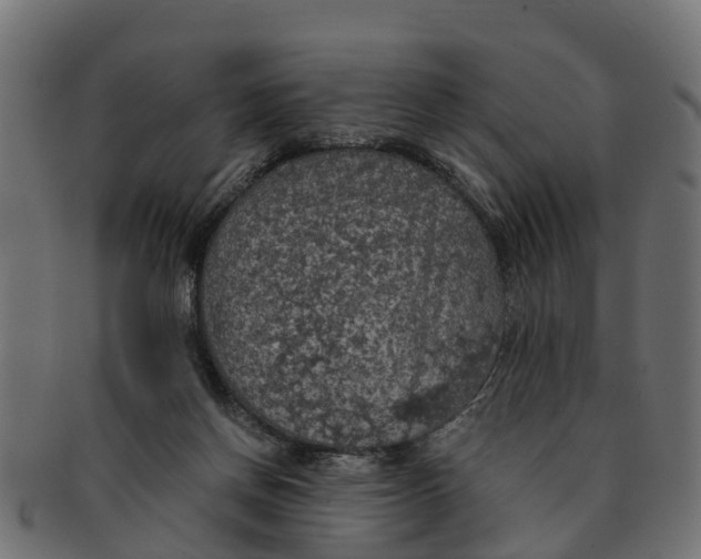 X0000091550166200709071225