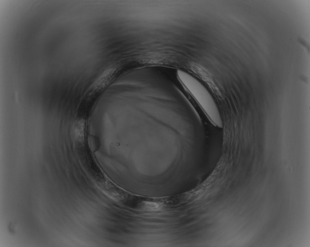 X0000091550167200709071225