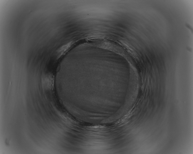 X0000091550168200709071225