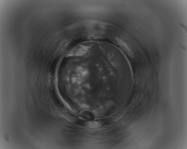 X0000091550169200709071225