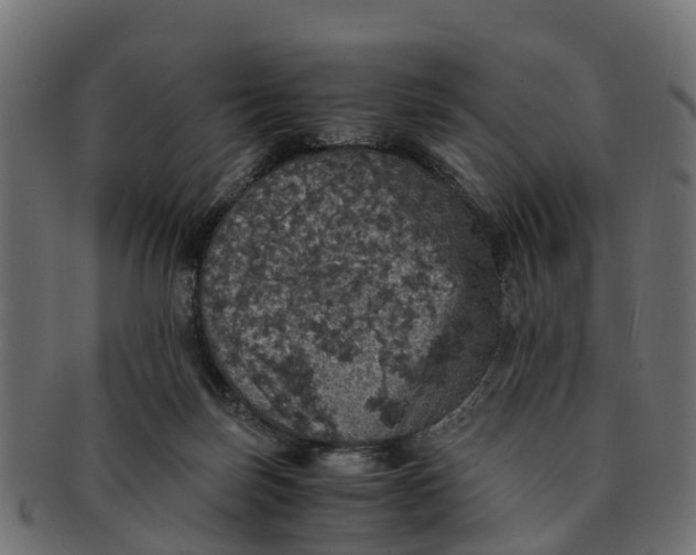 X0000091550171200709071225