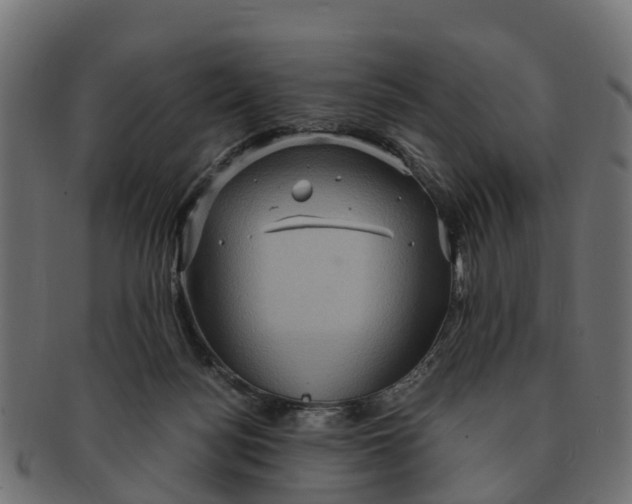 X0000091550172200709071225